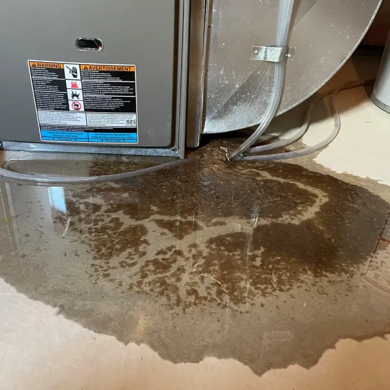 Appliance Leak Cleanup in Carrollton, AL